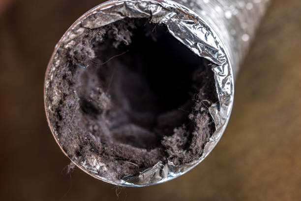 Best HVAC Maintenance and Cleaning  in Cloverdale, IN